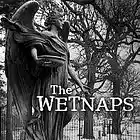 Picture for song 'Right And Wrong' by artist 'The WETNAPS'