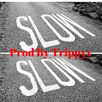 Picture for song 'SLOW' by artist 'CosaNostraTrippyy'