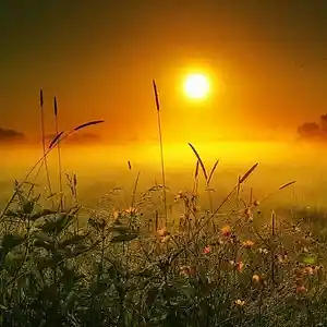 Picture for song 'The Magical Dawn' by artist 'allbestok'