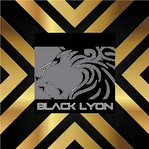 Picture for song 'american joint - house rmx d angelo feat black ly' by artist 'black lyon'