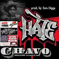 Picture for song 'Chavo aka Tro - Hate (Prod. by Son Digga)' by artist 'Chavo'