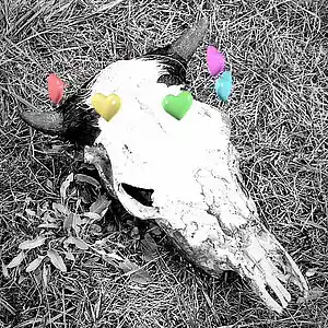 Picture for song 'black' by artist 'lee danny'