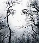 Picture for song 'Lost' by artist 'MarinateMusic'