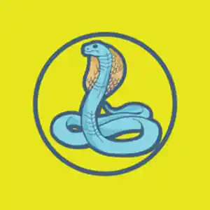 Picture for song 'COBRA (Buy 1 Get 2 Free)' by artist 'NOA.Producer'