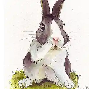 Picture for song 'rabbit' by artist 'Oson'