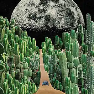 Picture for song 'So Solo: At My Window' by artist 'paul gorman and the hypnotist collectors'