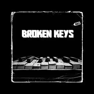 Picture for song 'BROKEN KEYS' by artist 'REB BEATS'