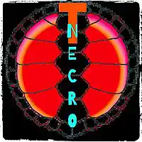 Picture for song 'Knee Slappah' by artist 'Turtle Necromancer'