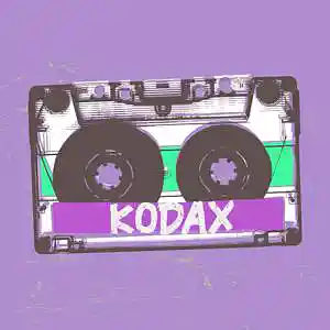 Picture for song 'KODAX (HARD TYPE BEAT) FEAT CHUKI BEATS' by artist 'YUNG SINNLOS'