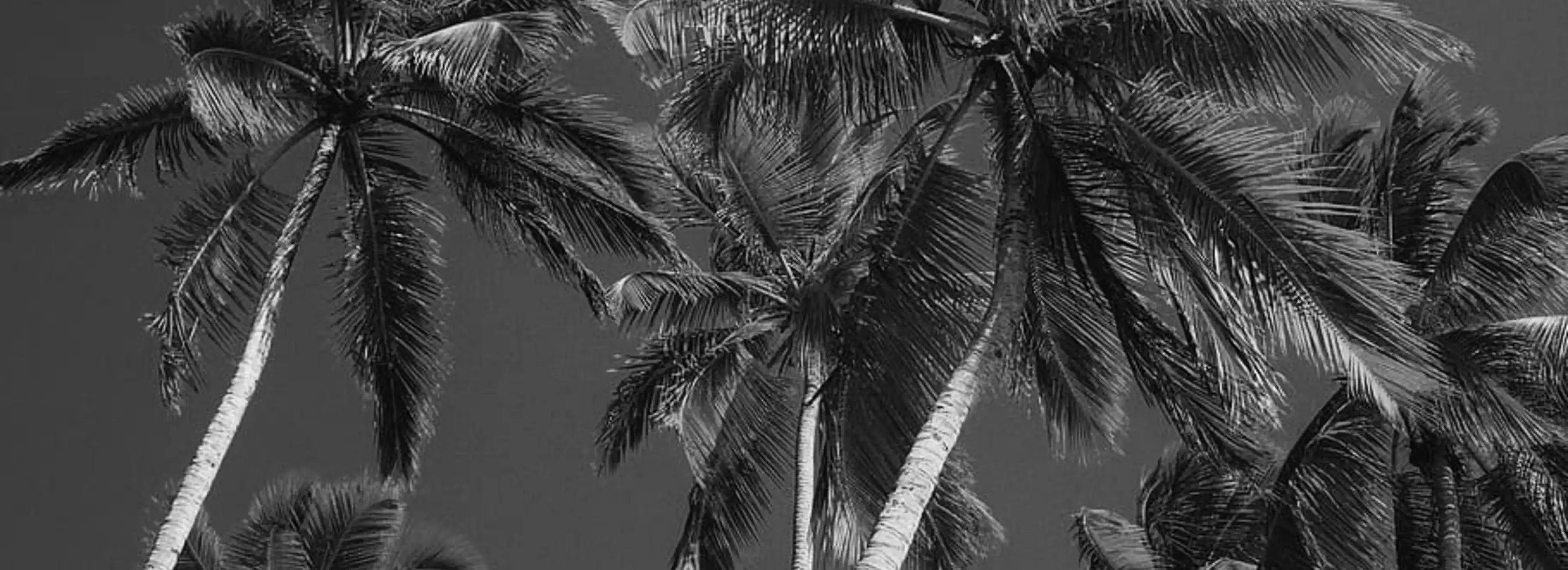 cover pic