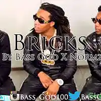 Picture for song 'Bricks - Prod. By Bass God X NormzBeatz' by artist 'Bass God'