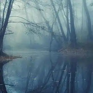 Picture for song 'forgotten in fog' by artist 'Cheesorable'