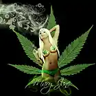 Picture for song 'Mary Jane Ft T.Poe & Lil Rod' by artist 'DJ VARUS'