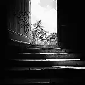 Picture for song 'Altered' by artist 'Nech Beats'