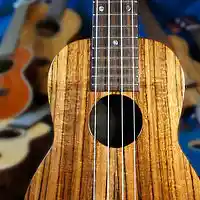 Picture for song 'Ukulele Song (TV/Film Music)' by artist 'Shadowkey'