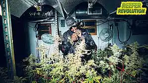 Picture for song '2 Chainz x Gucci Mane Type Beat "Good Dank" (Prod' by artist 'Trackmatic 850'