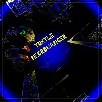 Picture for song 'The Derry Turn Around' by artist 'Turtle Necromancer'