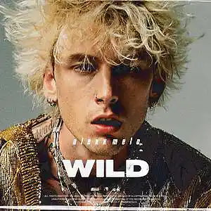 Picture for song 'WILD - Buy 2 Get 1 Free - MGK, Pop Punk' by artist 'Alexx Melo'