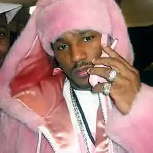 Picture for song '''BIRDS'' CAMRON' by artist 'CHIBEATS'