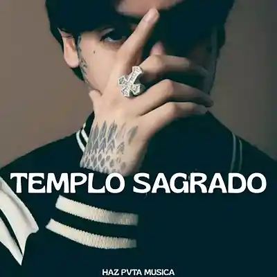 Picture for song '$Trap Tumbado Type Beat "TEMPLO SAGRADO"$' by artist 'Haz Pvta Musica'