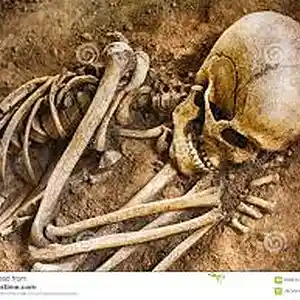 Picture for song 'Our Old Bones' by artist 'KAUL'