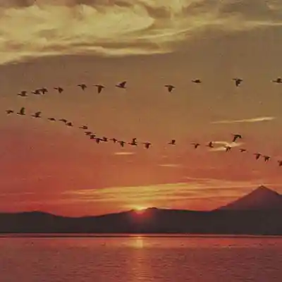 Picture for song 'note - lofi type beat' by artist 'KroM Beatz'