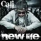 Picture for song 'Put It On You Beat' by artist 'ProducerCali'