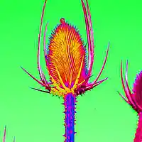 Picture for song 'what if' by artist 'ric kemper soundclick'