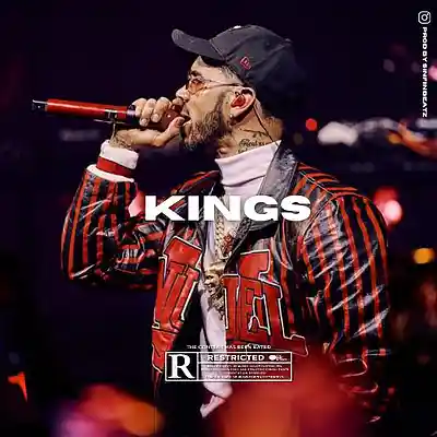 Picture for song '*NEW* KINGS (BUY 2 GET 3 FREE)' by artist 'Victus Fire'
