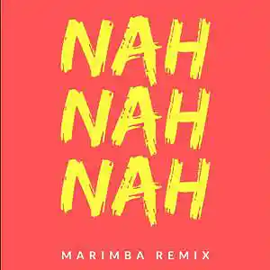 Picture for song 'Sonnerie Gratuite Nah Nah Nah Kanye West (Marimba' by artist 'SonneriePortable'