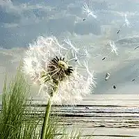 Picture for song 'Insouciance' by artist 'Christian Faivre'