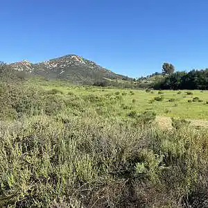 Picture for song 'Getting Paid Right Now' by artist 'Gagmesharkoff'