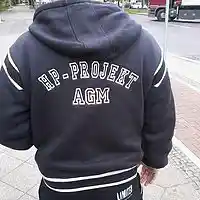 Picture for song 'Wir sind die Brder der strasse' by artist 'hp-projekt'