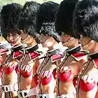 Picture for song '*HOT* Crazy Horse ( EDM Mix)' by artist 'J-Life Music'