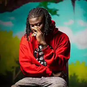 Picture for song 'No Reason (Afro Pop Type Beat) *FREE D/L*' by artist 'THE NETRUNNERS'