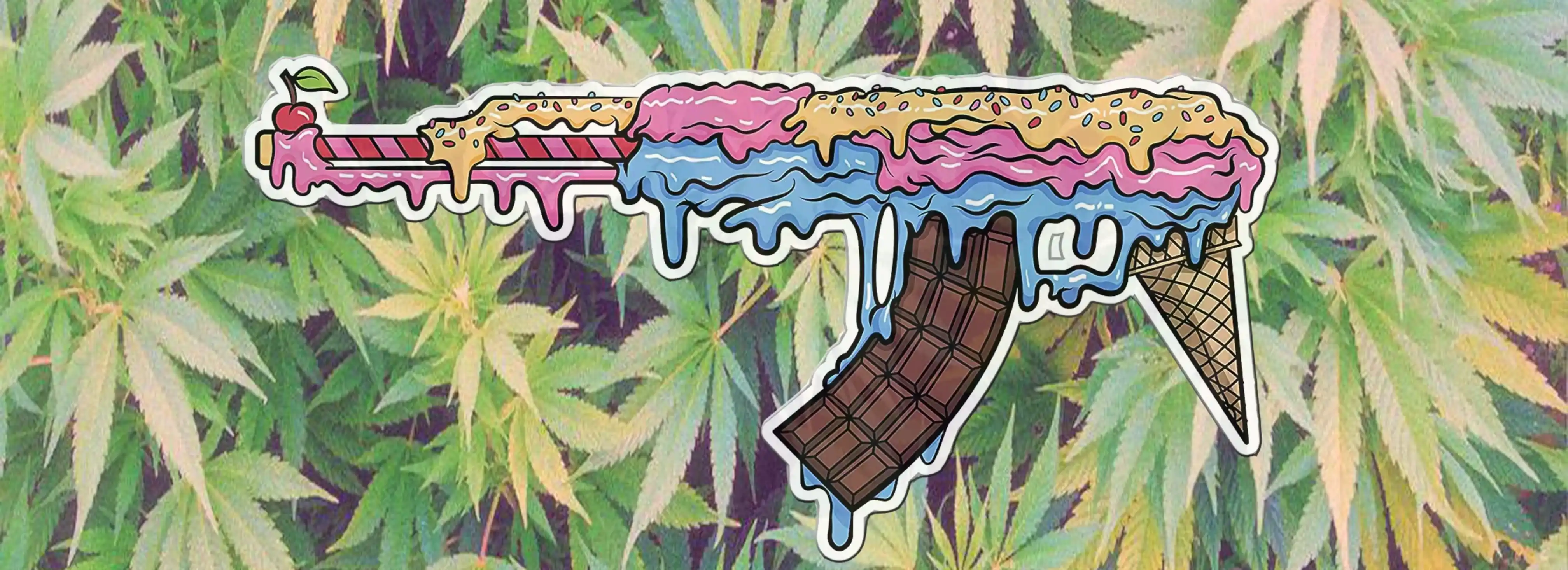 cover pic