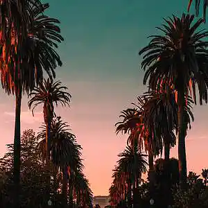 Picture for song 'Summer Crip Walk (WEST COAST TYPE BEAT)' by artist 'JAKENAG'