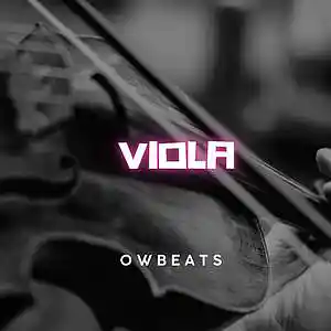 Picture for song 'old viola' by artist 'OW beats'