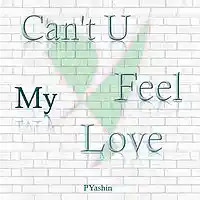 Picture for song 'Can't U Feel My Love' by artist 'PYashin'
