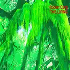 Picture for song 'THE LIVING UNIVERSE' by artist 'Robert Carty'