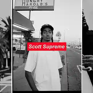 Picture for song 'MEMOIR (BUY 1 GET 1 FREE)' by artist 'Scott Supreme'
