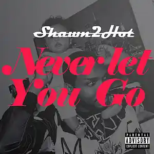 Picture for song 'never let you go' by artist 'volcanomusic'