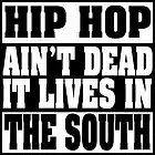 Picture for song 'Crazy South (MJP)' by artist 'Astral Blitz'