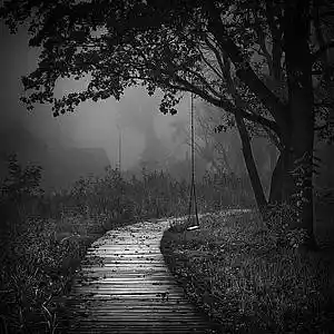 Picture for song 'never the same' by artist 'DJ Quanie'