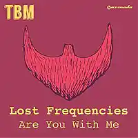Picture for song 'Feeling Reborn (Lost Frequencies X Deep House)' by artist 'DJ Shaw-t'