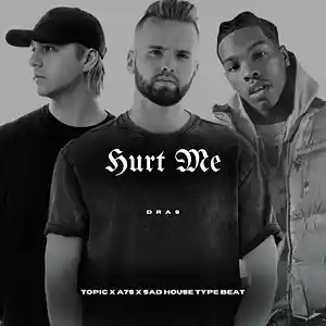 Picture for song '"Hurt Me" w/ vocals - Topic x A7S x Slap House' by artist 'Dras On The Beat'