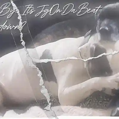 Picture for song 'Hold Me Down? Chill / Sentimental type W/Hook' by artist 'ItsJgOnDaBeat'