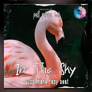 Picture for song 'Pop Beat - "In The Sky" 160 BPM' by artist 'past panica'