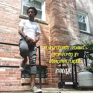 Picture for song 'In My Feelings (Remake)' by artist 'Shayde Est.1988'