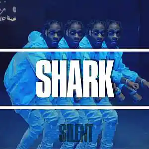 Picture for song '"SHARK" Russ Millions x Tion Wayne Type Beat' by artist 'Silent The Producer'